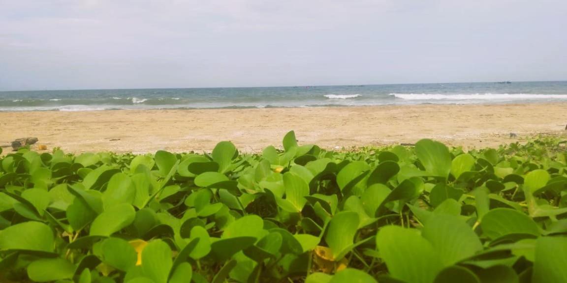 Chan Beach Resort Bahur Exterior photo